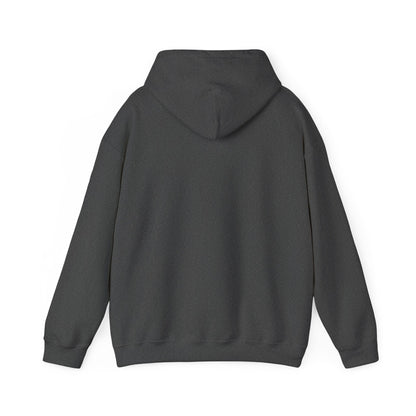Ringo Starr Hoodie - Beatles Legend